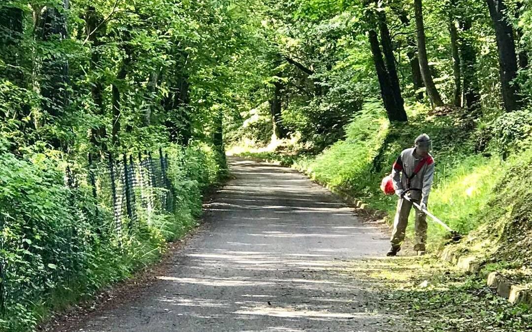 Complimenti ai volontari che hanno ripulito via Campi Buoni