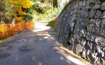 Sistemazione delle aree verdi circostanti i cimiteri in vista di Ognissanti
