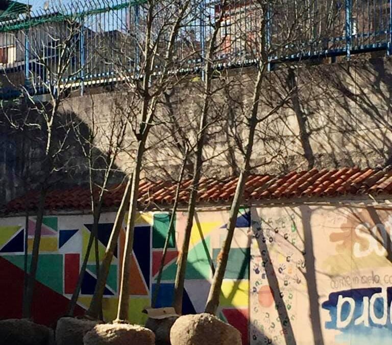 Intervento di piantumazione a Piatucco