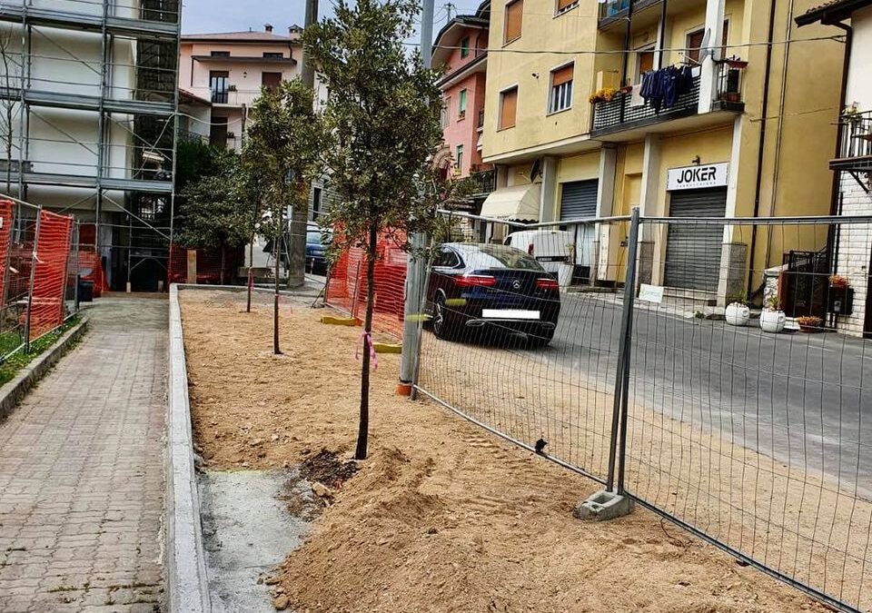 Al lavoro per nuovi parcheggi e nuovi alberi alla Pieve