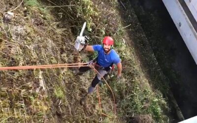 Sistemazione del verde pubblico al Palazzetto dello sport di Lumezzane
