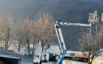 Nuovi lavori di sistemazione del verde pubblico