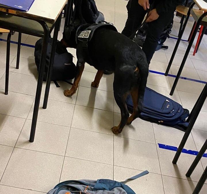 Iniziativa di contrasto allo spaccio di droga nelle scuole di Lumezzane