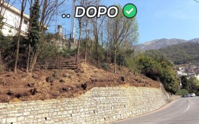 Nuovo intervento di sistemazione del verde pubblico