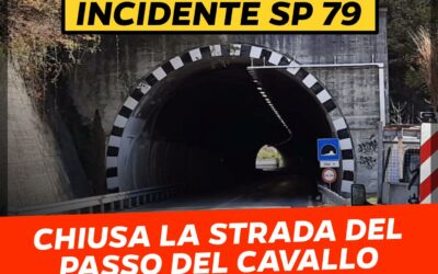 Incidente lungo la Sp 79