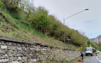 Interventi della Protezione Civile per pulizia di piante e rovi